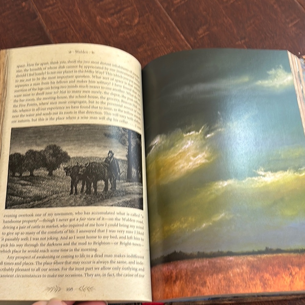 The illustrated Walden by Henry David Thoreau - Picture 3 of 5